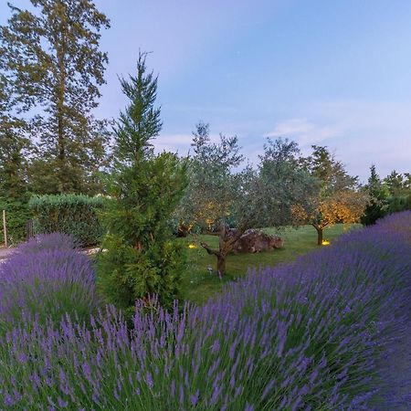 Villa Kate Istria Zminj Ngoại thất bức ảnh