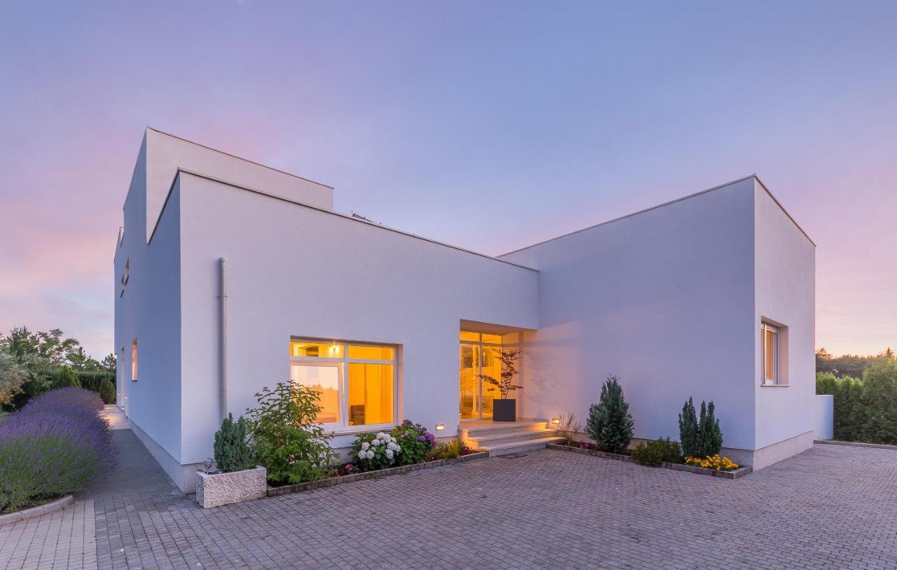 Villa Kate Istria Zminj Ngoại thất bức ảnh