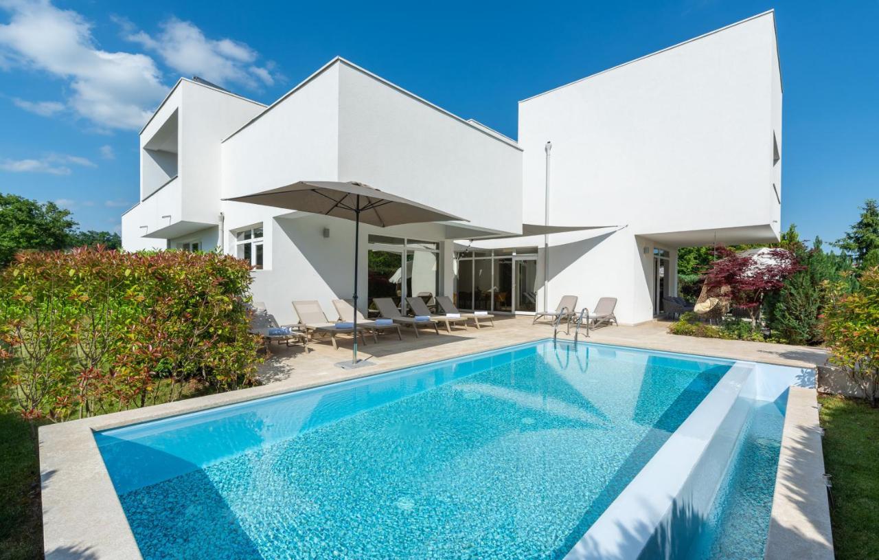 Villa Kate Istria Zminj Ngoại thất bức ảnh