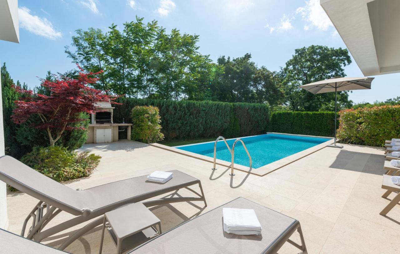 Villa Kate Istria Zminj Ngoại thất bức ảnh