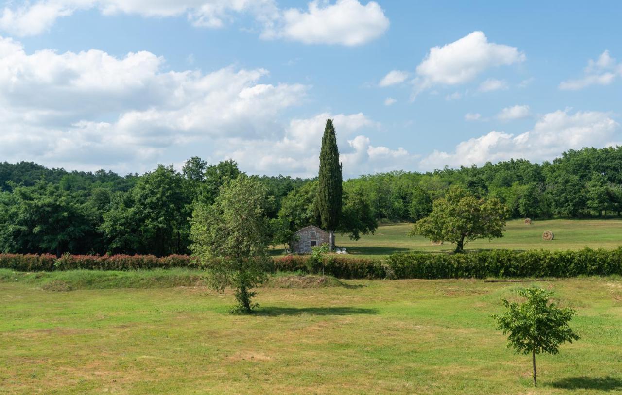 Villa Kate Istria Zminj Ngoại thất bức ảnh
